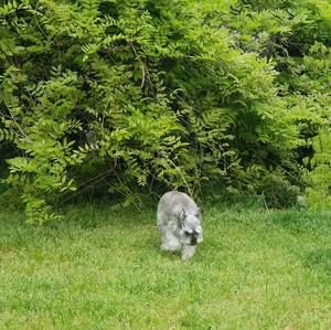 Meet your Posher, Kerry